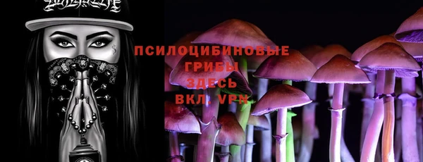 прущая мука Бородино