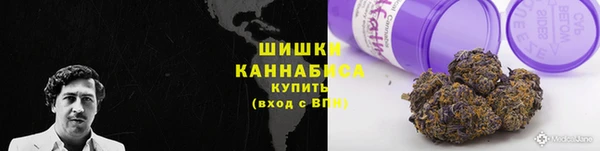spice Бугульма