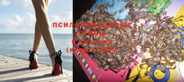 прущая мука Бородино