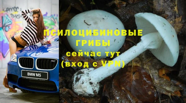 прущая мука Бородино