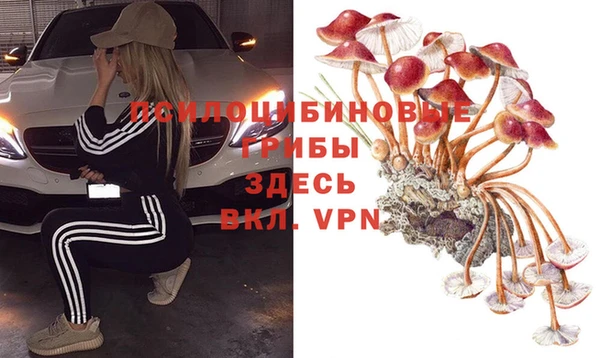 скорость Бронницы