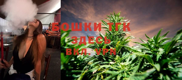 амф Верхний Тагил