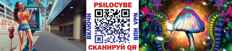 Псилоцибиновые грибы мицелий хочу Городовиковск