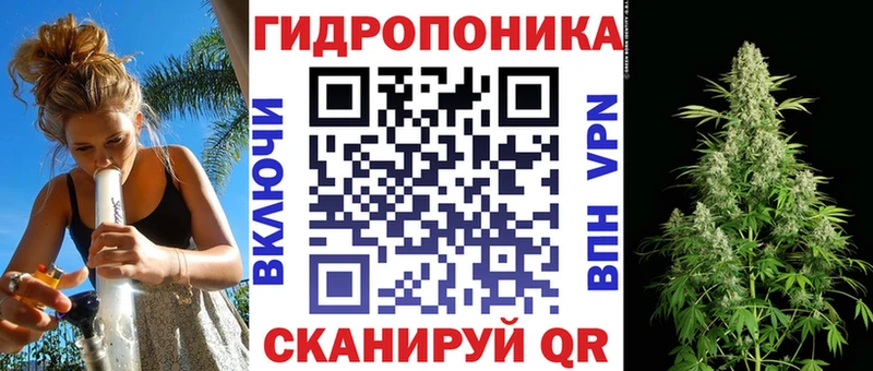 Конопля OG Kush  Городовиковск 